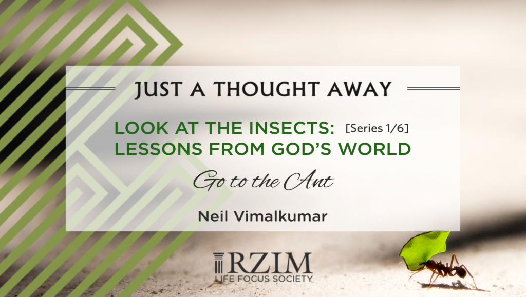 This is the first episode in 'Look at the Insects', a six-part series by Neil Vimalkumar. Here Neil lists three take-a-ways we can learn from the ant. May this be a time of Teamwork, Hard work and Service for a better tomorrow.
