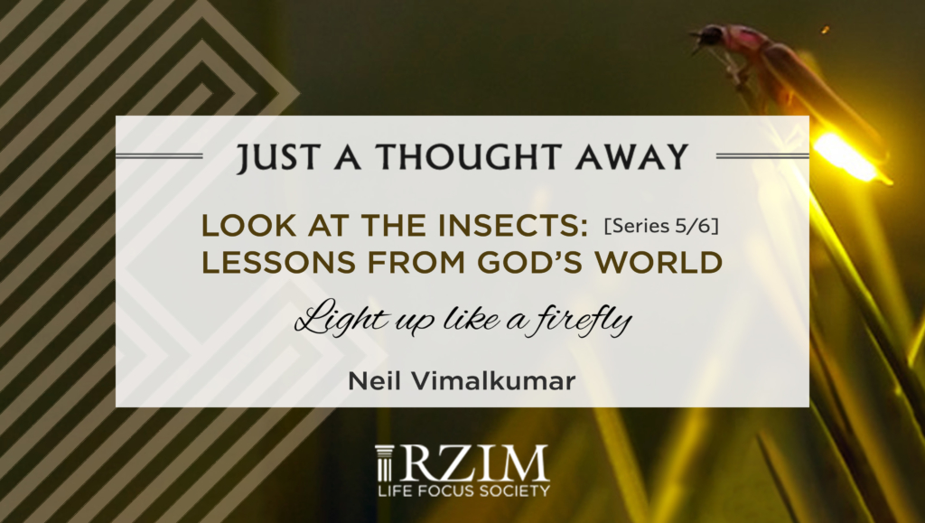 This is the fifth episode in 'Look at the Insects', a six-part series by Neil Vimalkumar. Here Neil takes a close look at the fire-fly and gives a call to open up, rise and shine.