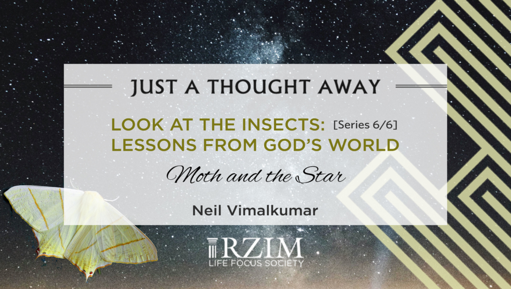 This is the final episode in 'Look at the insects', a six-part series by Neil Vimalkumar. Neil draws attention to the Moth's 'Transverse Orientation' and warns us that in the quest for God we may end up being disappointed for in fact, the truth is engaged in a quest for us